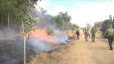 Quyết liệt triển khai các biện pháp phòng cháy, chữa cháy rừng