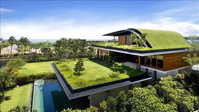 Trồng cây trên mái, giải pháp giảm thiểu ô nhiễm môi trường