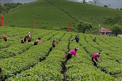 Vượt lên đại dịch, nền kinh tế tiếp tục ghi nhận kết quả tích cực