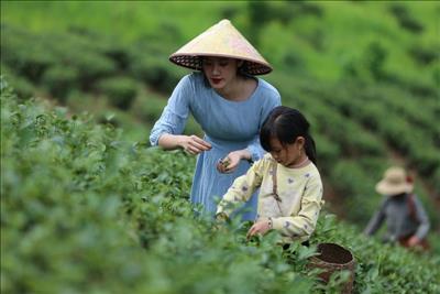 Sau đại dịch, du lịch nông thôn sẽ trở thành xu hướng mới