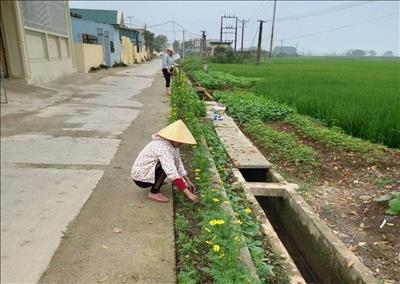 Thanh Hóa: Giáo xứ Kẻ Vàng với những mô hình 