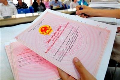 Trường hợp nào được cấp sổ đỏ khi đất không có giấy tờ?