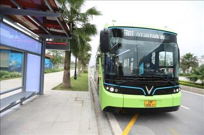 Hà Nội: 3 tuyến xe buýt điện sẽ vận hành từ 2/12