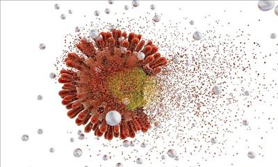Đường dây cung cấp virus SARS-CoV-2 ở Hà Lan