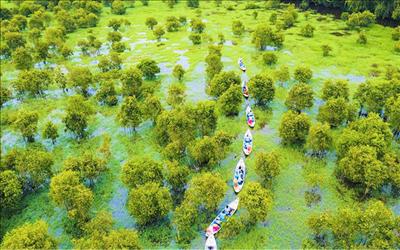 ĐB Sông Cửu Long sẵn sàng mở cửa trở lại