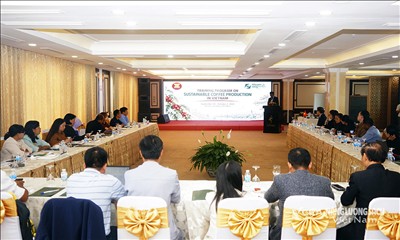 Sản xuất cà phê bền vững cho các nước ASEAN  