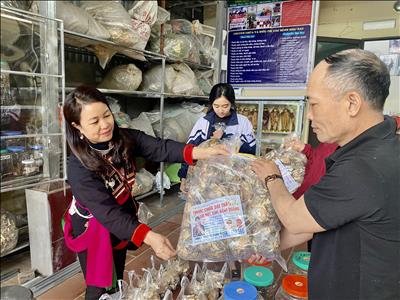 Điều trị các bệnh về thận bằng thuốc nam có thật hiệu quả?