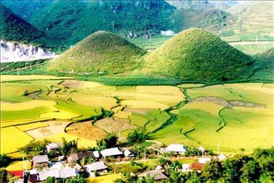 Bài thơ 