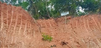 Diễn Châu, Nghệ An: Lãnh đạo xã Diễn Đoài bị tố thông đồng với doanh nghiệp để phá rừng và trục lợi bất chính