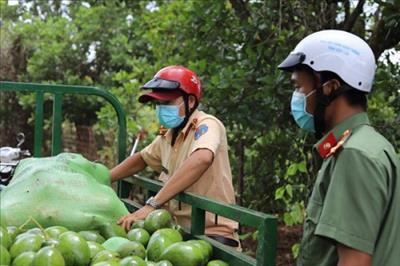 Nhiều nông dân ở Đắk Lắk tặng cả vườn nông sản cho lực lượng phòng, chống dịch