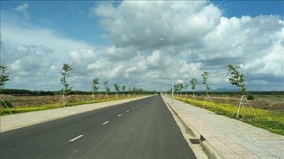 Bà Rịa – Vũng Tàu: Dừng chủ trương đấu giá 71 lô đất tại huyện Đất Đỏ