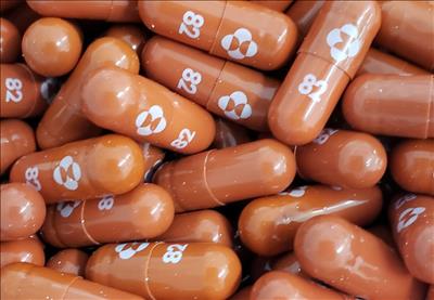 Thuốc COVID-19 của Merck làm giảm nguy cơ tử vong