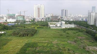 Đề nghị đưa Luật Đất đai sửa đổi vào Chương trình xây dựng luật, pháp lệnh năm 2022