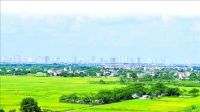 Thủ tục chuyển đổi từ đất trồng cây lâu năm sang đất ở nông thôn