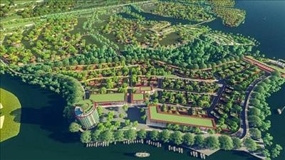 Bình Định chuyển đổi 12,7 ha đất rừng phục vụ hai dự án