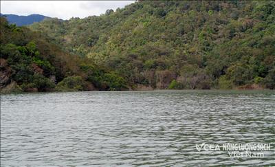 Lâm Đồng: Tháo gỡ để hình thành cụm năng lượng xanh từ các dự án điện mặt trời trên hồ