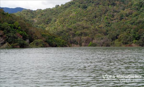 Lâm Đồng: Tháo gỡ để hình thành cụm năng lượng xanh từ các dự án điện mặt trời trên hồ