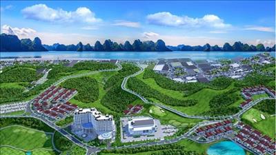 Bản tin bất động sản số 24/2020