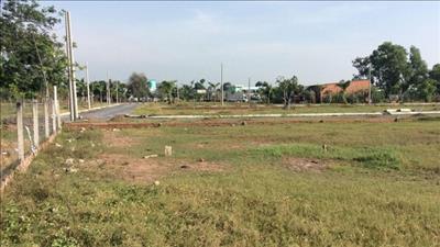 Chấp thuận chuyển đổi đất lúa sang đất phi nông nghiệp tại Ninh Bình và Hậu Giang