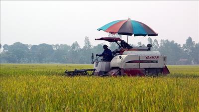Hưng Yên chuyển đổi 65,6 ha đất phục vụ các dự án