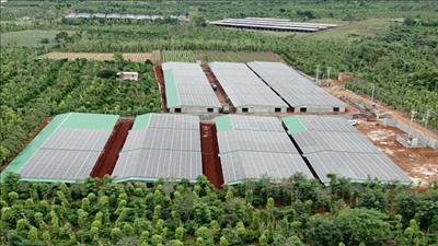 Buôn Đôn (Đắk Lắk): Khai thác lợi thế về năng lượng tái tạo để phát triển bền vững