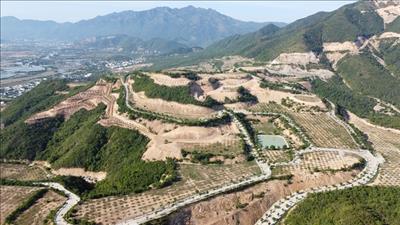 Bản tin bất động sản số 21/2022