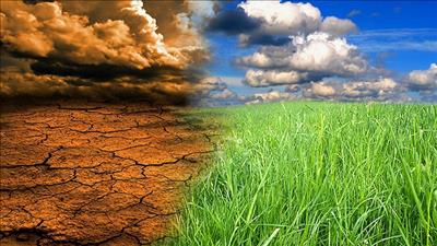 Bản tin môi trường số 3/2022