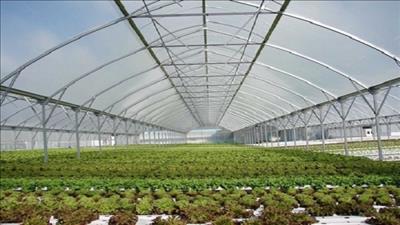 Thành lập Khu nông nghiệp ứng dụng công nghệ cao Quảng Ninh