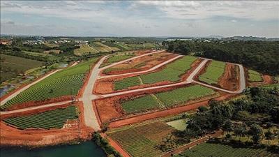 Lâm Đồng: Xử lý nghiêm đối tượng lừa đảo, chiếm đoạt tài sản bất động sản