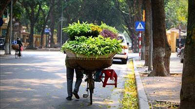 Miền Bắc giảm nhiệt, mưa rải rác