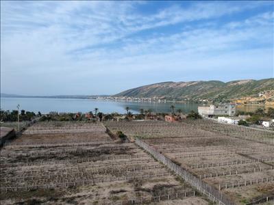 Nông dân của Tunisia bám trụ đầm phá khi mực nước biển dâng