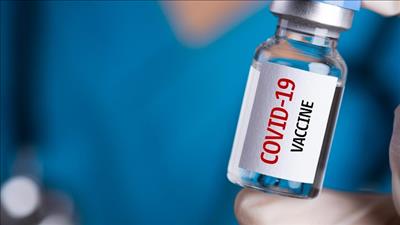 Gấp rút xây nhà máy sản xuất vaccine tại Hòa Lạc (Hà Nội)