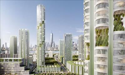 Urban Sequoias, mẫu nhà chọc trời có khả năng loại bỏ lượng carbon