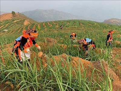 Áp dụng công nghệ giúp giảm thiểu ô nhiễm môi trường vùng cao