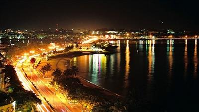 Ô nhiễm ánh sáng đe dọa sự sống của các sinh vật