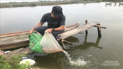 Vùng nuôi tôm an toàn sinh học cho kết quả cao