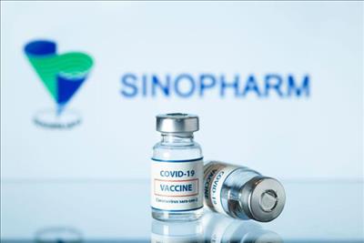 Việt Nam đồng ý mua 20 triệu liều vaccine phòng COVID-19 Vero Cell
