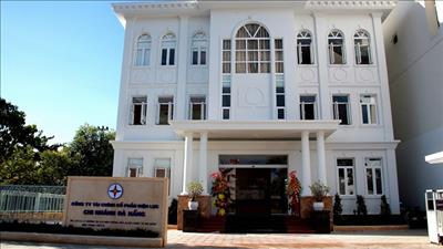 EVN thu hơn 219 tỷ đồng từ bán đấu giá cổ phần tại EVN Finance