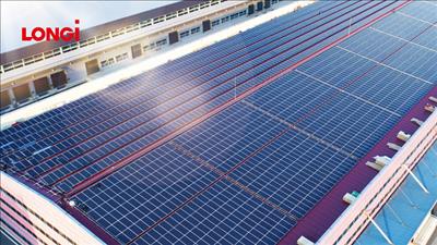 Các mô đun của LONGi được CERTISOLIS (Pháp) trao chứng nhận về lượng phát thải khí nhà kính thấp  