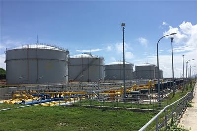 Doanh thu của Petrolimex giảm do giá dầu thô thế giới biến động