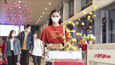 Nhiều khuyến mãi hấp dẫn dành cho đường bay nội địa dịp Tết Quý Mão 2023