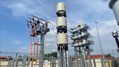 Đóng điện công trình lắp đặt tụ bù tại thanh cái trung áp TBA 110kV Đình Trám