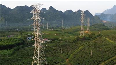 Tập trung nguồn lực đẩy nhanh tiến độ dự án xuất tuyến 110kV sau TBA 220kV Bắc Quang