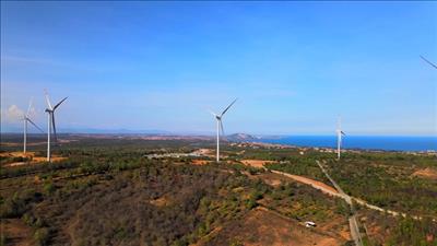 Bản tin năng lượng số 39/2021