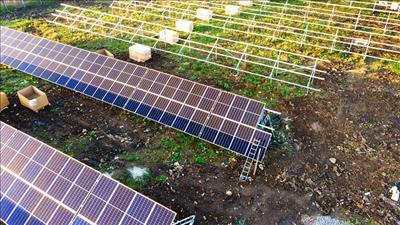 Bản tin năng lượng số 46/2022