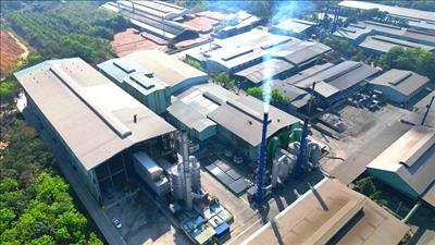 Bản tin năng lượng số 2/2024