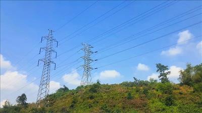 Bản tin năng lượng số 46/2024