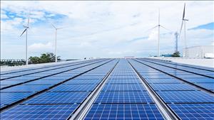 Bản tin năng lượng số 44/2025