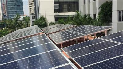 Bản tin năng lượng số 12/2026