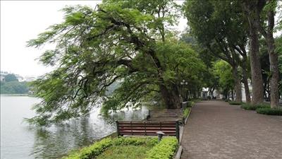 Bản tin môi trường số 6/2020